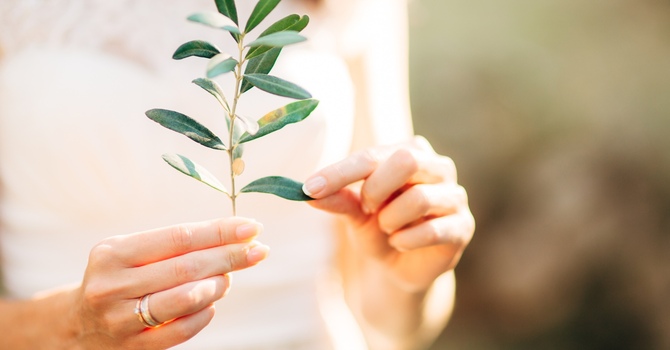 不只是"专心点":如何支持患有多动症的孩子