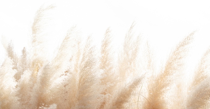 Neurodivergent-Affirming Support (ADHD & Autism)